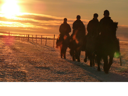 Riding Holiday Northern Lights